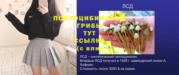 марки nbome Кукмор